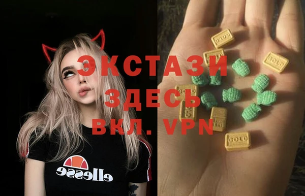 СК Новокубанск