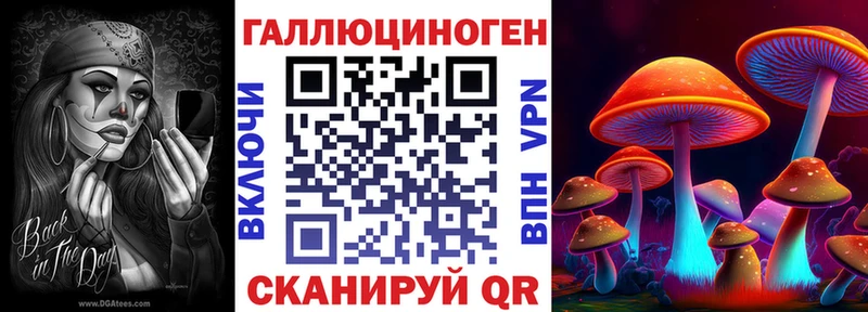 Галлюциногенные грибы GOLDEN TEACHER  хочу наркоту  Харовск 